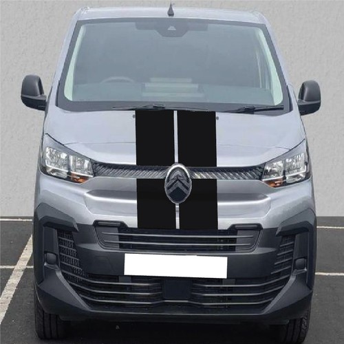 Citroen dispatch relay - dispatch,
